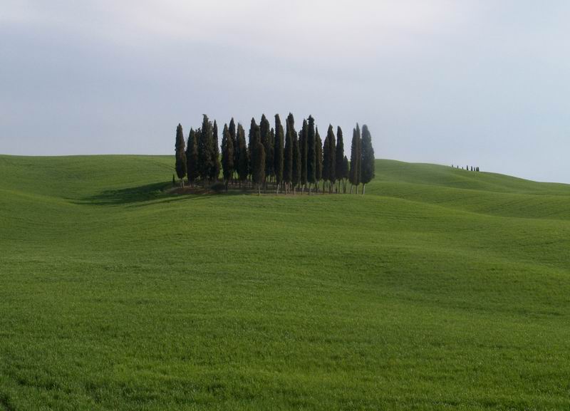 Terra di Siena